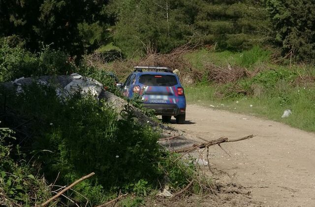 Adana’da ormanda erkek cesedi bulundu