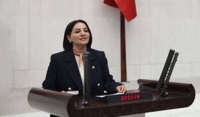 AK Partili vekil Şengül Karslı’dan muhalefete sert tepki: Ayıp arayan kendi geçmişine baksın