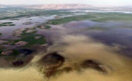 8 yıl sonra yüz güldüren görüntü