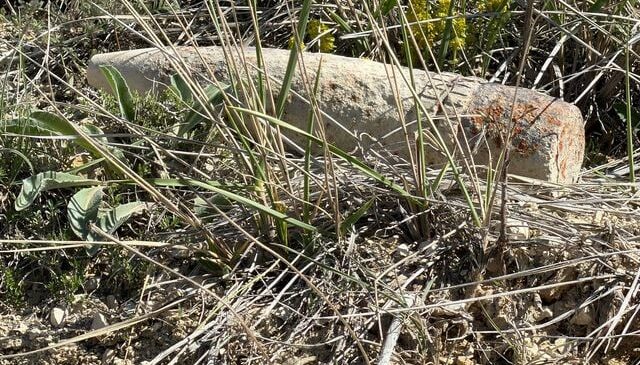 Ankara’da vatandaş mantar ararken patlamamış top mermisi buldu