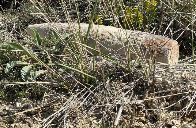 Ankara’da vatandaş mantar ararken patlamamış top mermisi buldu