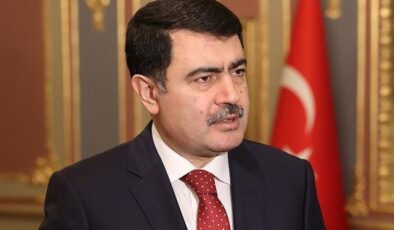Ankara Valisi Vasip Şahin TİHEK başkanlığına atandı