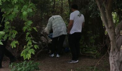 Ağaç altında ölü halde bulundu