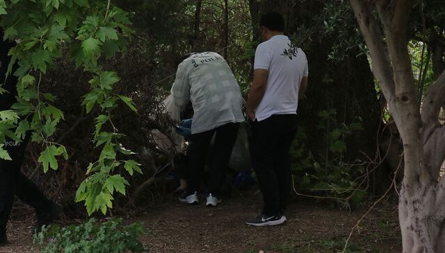 Ağaç altında ölü halde bulundu