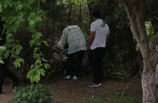 Ağaç altında ölü halde bulundu