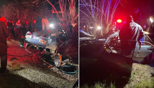 Kontrolden çıkan araç ağaca çarptı! 3 kişi hayatını kaybetti