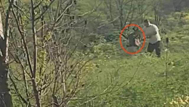 Avcılar’da köpeğe acımasızca işkence eden şahıs kıskıvrak yakalandı