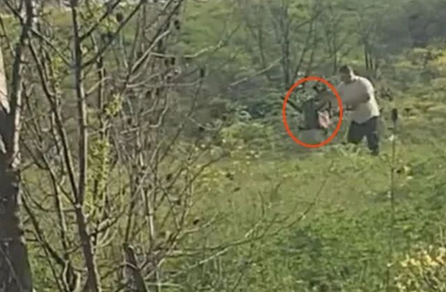 Avcılar’da köpeğe acımasızca işkence eden şahıs kıskıvrak yakalandı