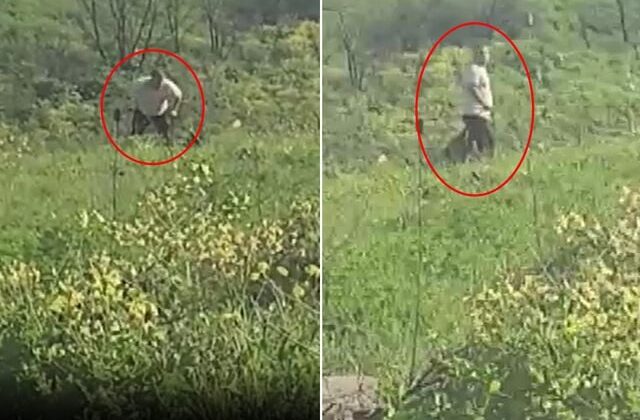 Avcılar’da köpeğe kemerle şiddet uygulayan şüpheli aranıyor