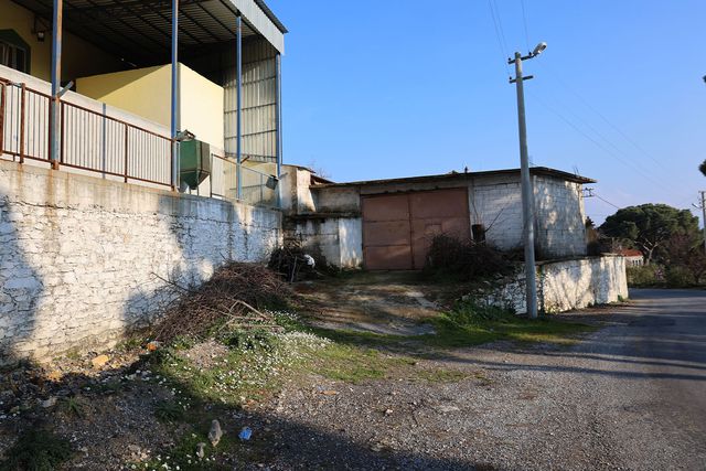 aydin daki cam fistigi kooperatifi atil kaldi 19718929 6981 o