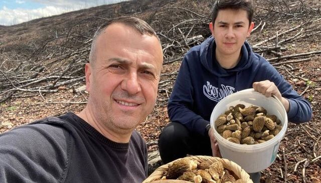 Baba ve oğlunun yüzünü güldüren mantar avı