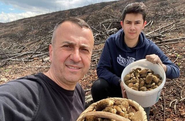 Baba ve oğlunun yüzünü güldüren mantar avı