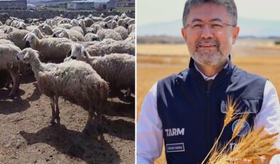 Bakan Yumaklı’nın “Örnek üretici” dediği çiftçi video çekip yardım istedi