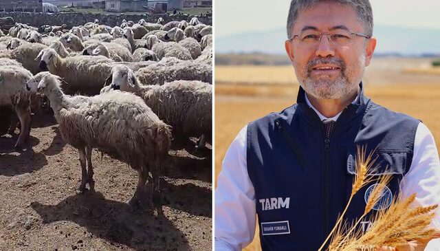 Bakan Yumaklı’nın “Örnek üretici” dediği çiftçi video çekip yardım istedi