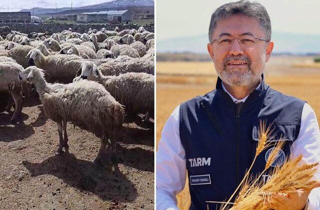 Bakan Yumaklı’nın “Örnek üretici” dediği çiftçi video çekip yardım istedi
