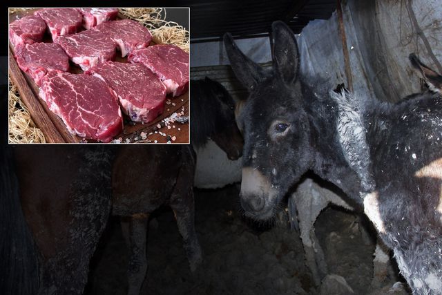 bakanlik markayi acikca ifsa etti vatandasa at ve 3678730f22 o