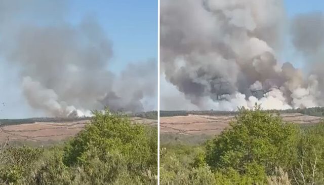 Beykoz’da ormanlık alanda yangın çıktı
