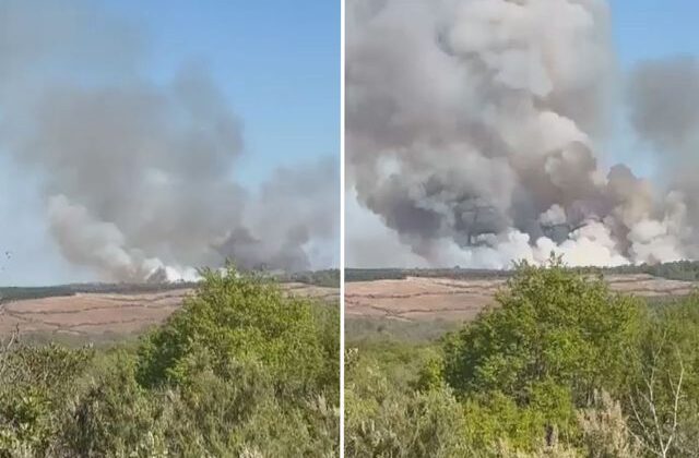 Beykoz’da ormanlık alanda yangın çıktı