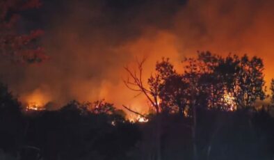 Beykoz’da alevler, soğutma çalışmaları sırasında yeniden yükseldi