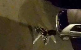 Bursa’da sokak ortasında boks ringlerini aratmayan kavga kamerada