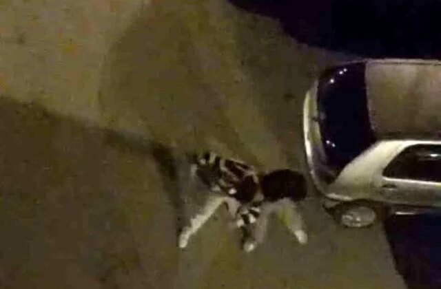 Bursa’da sokak ortasında boks ringlerini aratmayan kavga kamerada