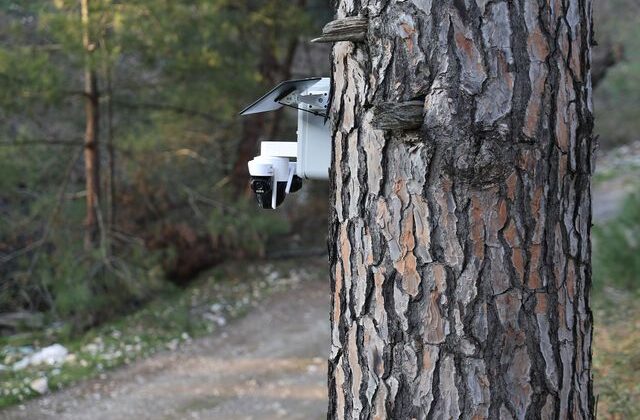 Altın değerindeki künara kameralı önlem
