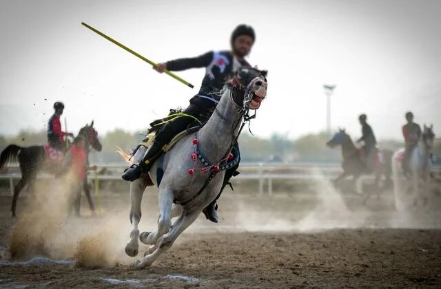 Turnuvada facia! İki at çarpıştı, sporcu yaşam mücadelesi veriyor