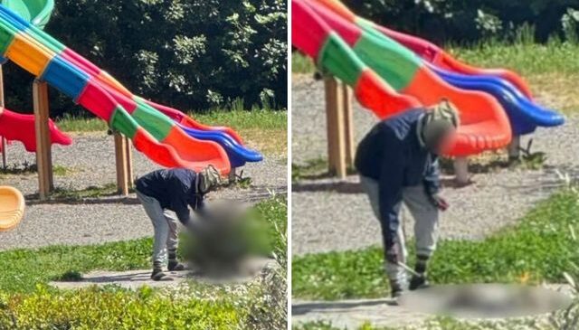 Çocuk parkında akılalmaz görüntü: Herkesin gözü önünde öldürdüğü kediyi pişirmeye çalıştı!