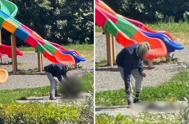 Çocuk parkında akılalmaz görüntü: Herkesin gözü önünde öldürdüğü kediyi pişirmeye çalıştı!