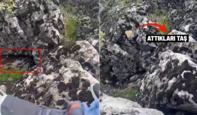 Diyarbakır’da bir garip olay! Korkup taşa tuttukları şey bakın ne çıktı