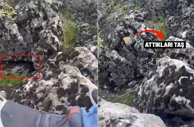 Diyarbakır’da bir garip olay! Korkup taşa tuttukları şey bakın ne çıktı