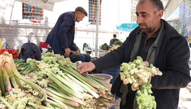 Yılda bir kez çıkıyor, binbir derde şifa oluyor