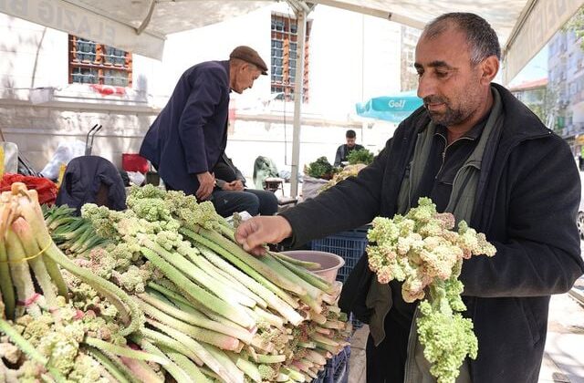 Yılda bir kez çıkıyor, binbir derde şifa oluyor