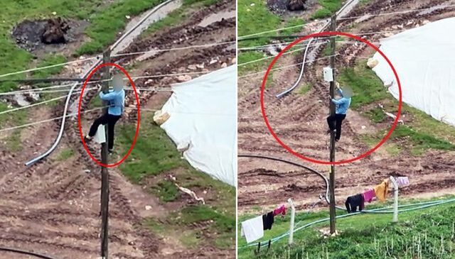 Dronu görünce kaçak hatları iptal etti