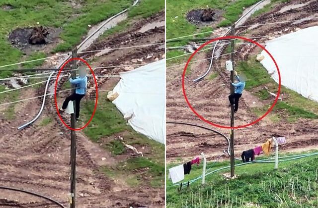 Dronu görünce kaçak hatları iptal etti