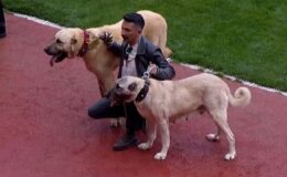 En sonunda bunu da gördük! Sahaya kangallarla çıktılar