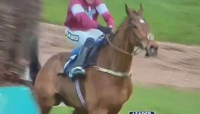 Engelden atlarken sırtı kırılan yarış atının acı sonu