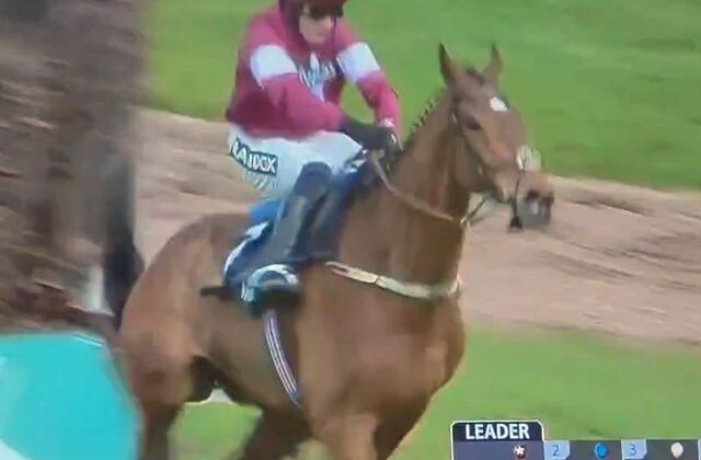 Engelden atlarken sırtı kırılan yarış atının acı sonu