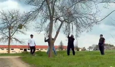 Eskişehir’de ‘mangal için ağaç dalını kırmaya çalıştılar’ iddiası