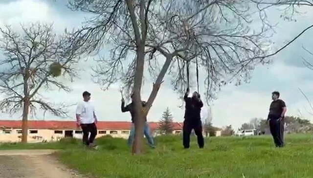 Eskişehir’de ‘mangal için ağaç dalını kırmaya çalıştılar’ iddiası