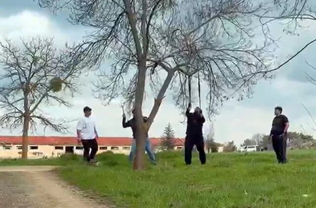 Eskişehir’de ‘mangal için ağaç dalını kırmaya çalıştılar’ iddiası