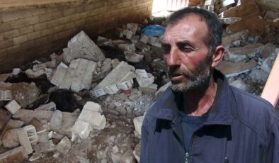 Gece ses duyup ahıra koşan çiftçinin dünyası başına yıkıldı