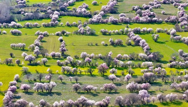 Görüntü İsviçre’den değil Türkiye’den
