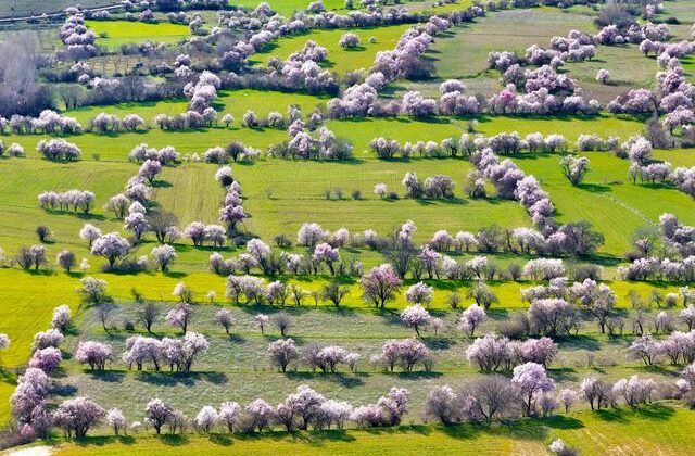 Görüntü İsviçre’den değil Türkiye’den