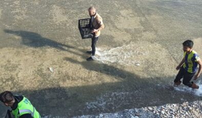 Haberi duyan balık toplamaya koştu