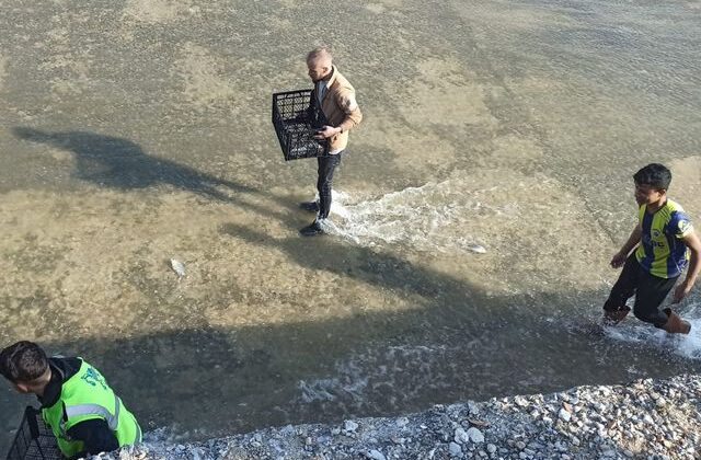 Haberi duyan balık toplamaya koştu