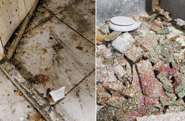 Bunları insanlara yedireceklerdi! Eve giren zabıta gözlerine inanamadı