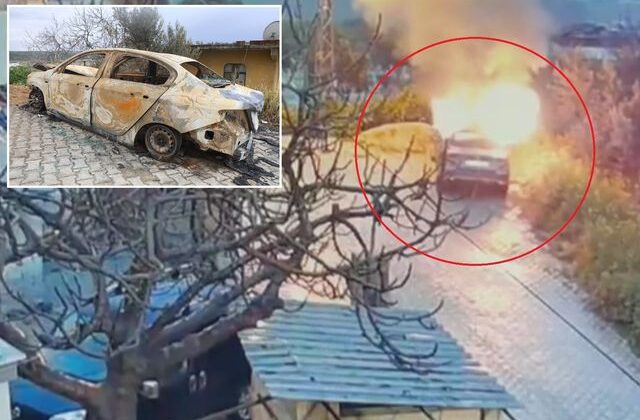 Park halindeki aracını küle çeviren kişi en yakını çıktı