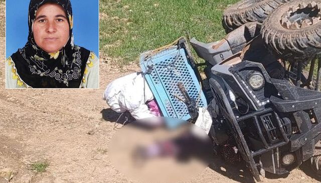 Hayvanlara bakmaya giden kadının acı sonu