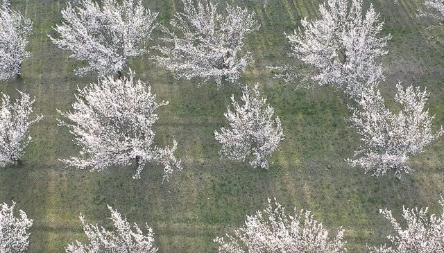 Akdeniz değil Doğu’nun Çukurova’sı! Görüntüler mest etti
